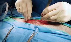 Learn more about ce opportunities Continuing Education Clinician S Brief