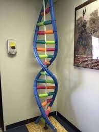 Pin By Pia Tang On Lego Science Classroom Decorations Biology Classroom Life Science Middle School