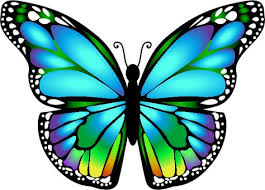 Weitere ideen zu schmetterling vorlage, schmetterling, ausmalbilder. 27 Schmetterling Vorlage Ideen Schmetterling Vorlage Schmetterlingszeichnung Schmetterling