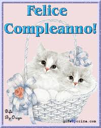 Gif Animate Il Meglio Del Web Compleanno Gatti Buon Compleanno Buon Compleanno Foto