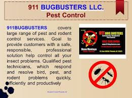 Find your nearest store today. Halton Pest Control Services Provide Highly Effective And Reliable Solutions To Prevent Any Type Of Pest Infestation We Offer A Comprehensive Range Of Ppt Download