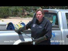 If you start to noticing dead bugs on the window ledges. Sg Bug Sgbug1 Profile Pinterest