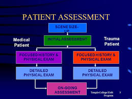 Emt Patient Assessment Flowchart Related Keywords