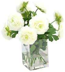 Check spelling or type a new query. Cream White Ranunculus In Square Vase Transitional Artificial Flower Arrangements By Distinctive Designs Houzz