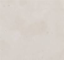 Bianco Asiago Marble - White Marble - StoneContact.com