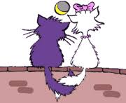 Ver más ideas sobre feliz cumpleaños, gif de feliz cumpleaños, canciones de feliz cumpleaños. Gifs De Gatos Imagenes Gif Animadas De Gatos