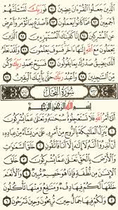 سورة النحل الجزء الرابع عشر الصفحة 267 Quran Verses Holy Quran Book Quran Book