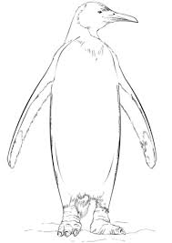 Ausmalbilder Von Einzigartig Ausmalbilder Von Pinguin
