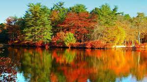 Lake District Autumn 1080p Wallpaper Hd 1920x1080 5820 Desktop Wallpaper Fall Autumn Lake Landscape