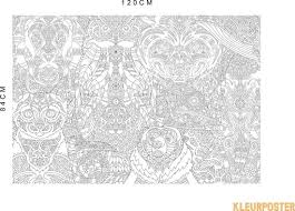 Pas als je de nummers in gaat kleuren, ontstaat er een schitterende kleurplaat vol vrolijke kleuren. Bol Com Mandala Kleurplaat Voor Volwassenen Op Poster Formaat Xxl