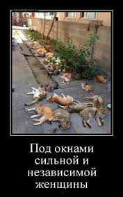 pin na doske yumor
