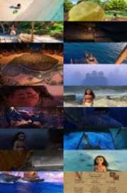 Moana 2016 Brrip Xvid Utorrent Download Torrent The Medina Partnership moana 2016 brrip xvid utorrent download