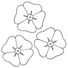 Savesave blossom poppies coloring page _ free printable col. Coloring Pages Poppy Coloring Pages