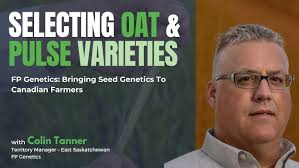 Product Spotlight: Selecting Oat & Pulse Varieties with Colin Tanner FP  Genetics #agriculture