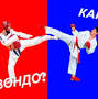Тхеквондо ВТФ. Единоборства. from taekwondo-pro.ru