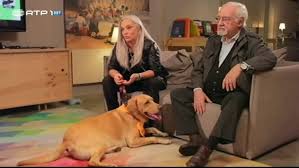 Há em ruy de carvalho uma doçura desarmante, uma sabedoria infinita e uma encantadora consciência de que ainda tem muito para aprender. Ruy De Carvalho E Paula Carvalho O Retorno E Muito Grande Animais Anonimos Rtp