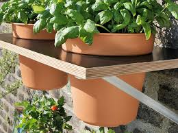 Toom Kreativwerkstatt Upside Down Tomate Tomaten Zuchten Garten Gewachshaus Gartnerei