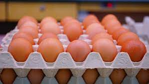 Telur ayam dan telur bebek. Telur Ayam Vs Telur Bebek Mana Yang Lebih Bernutrisi