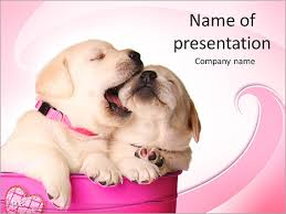 Cute puppy just wants to be with his human, and everytime he bravely runs up the terrible stairs, his. Labrador Puppy Powerpoint Template Backgrounds Google Slides Id 0000007448 Smiletemplates Com