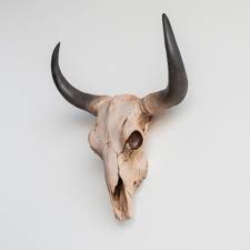 Maybe you would like to learn more about one of these? Millwood Pines Xl Cow Skull Wall Decor Wayfair