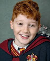 New Harry Potter Series with Potential New Hermione Actress