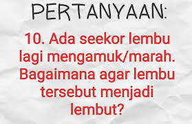 Check spelling or type a new query. Pin On My Saves