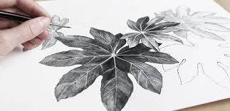 En activité depuis 2015, l'atelier. Le Top Des Meilleurs Sites Web Pour Apprendre Le Dessin