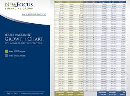 Yearly Investment Growth Chart Preview Newfocus Financial