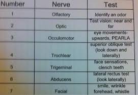 Cranial Nerve Testing Chart Athletic Training State