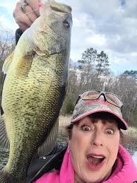 Dead fish found in Lake Zumbro