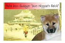 The data on the price of shiba inu (shib) and other related information presented on this website is obtained automatically. Shiba Inu Kaufen Rassehunde Per Inserat Finden