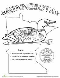 Minnesota State Bird Worksheet Education Com Minnesota Activities Bird Coloring Pages Coloring Pages