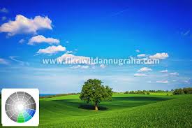 We did not find results for: Rumus Perpaduan Dan Kombinasi Warna Color Harmonies