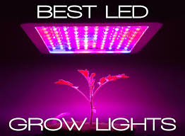 Best Led Grow Lights Buying Guide Updated Comparison List