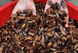 إذا رأت الفتاة في الحلم أنها توفت ويتم أخذ عزائها فهذا يعني أنها ستتزوج قريبا بالواقع. Ø§Ù„ØªØ£ÙˆÙŠÙ„Ø§Øª Ø§Ù„Ø£ÙƒØ«Ø± ØºØ±Ø§Ø¨Ø© Ù„Ø±Ø¤ÙŠØ© Ø§Ù„Ø¹Ø²Ø§Ø¡ ÙÙŠ Ø§Ù„Ù…Ù†Ø§Ù… Ù…ÙˆÙ‚Ø¹ Ù…ØµØ±ÙŠ