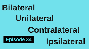 For example, a tumor involving the right side of the brain may affect vision ipsilaterally'that is, in the right eye. Episode 34 Fitness Words Bilateral Unilateral Contralateral Ipsilateral Youtube