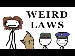 We did not find results for: Weird Laws This Video Lists Some Of The Most Bizarre Laws Still Followed By Different Countries
