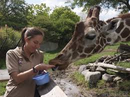 9 Important Life Skills Every Zookeeper Has Mastered Zoo Keeper Jobs Work With Animals Life Skills