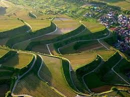 Kaiserstuhl Breisgau Terrassen Wijngaard Kaiserstuhl Reisen Deutschland Dreilandereck