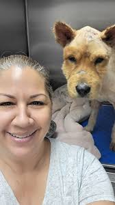 Brownie Blondie Foundation by Marjorie Andino