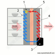 While it varies by model, most will start to get cold within two to four hours. How Refrigerators Work Explain That Stuff