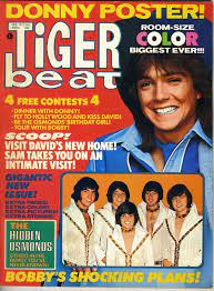 Remembering David Cassidy 70s Actor Pop Idol Best Classic Bands