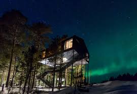 A treehouse in a national park. The 14 Most Unique Hotels In The World