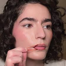 nationaldogday 🗽🗽💙🩷 @tom.zeitler @sidneeelyn @bronx_the_choclab