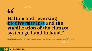 Image result for Science Environment Biodiversity Extinction