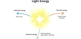 It covers over 70% of the planet, with marine plants supplying up to 80% of our oxygen,. Science Trivia Test Your Light And Energy Quiz Questions Knowledge Proprofs Quiz