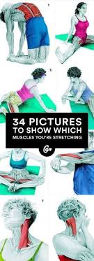 We did not find results for: 7 Body Muscles Names Ideas Muscle Names Fitness Tips Fitness Body
