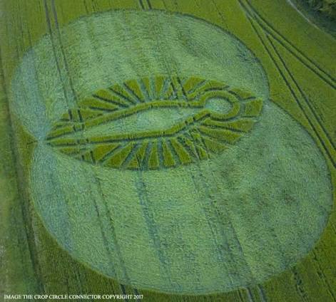 Rostro en crop circle