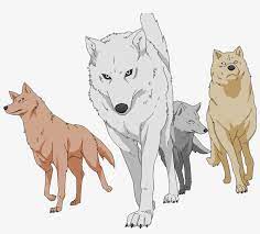 We did not find results for: Wolf Pack Png Picture Wolfsrain Wolves Transparent Png 900x731 Free Download On Nicepng