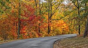 The park is located on top of lookout mountain about 9 miles northeast of fort payne alabama at 7104 desoto parkway ne. 11 Best Things To Do In Fort Payne Alabama